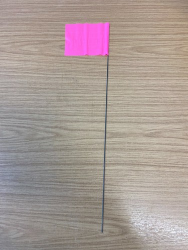 Pink plastic survey - -,